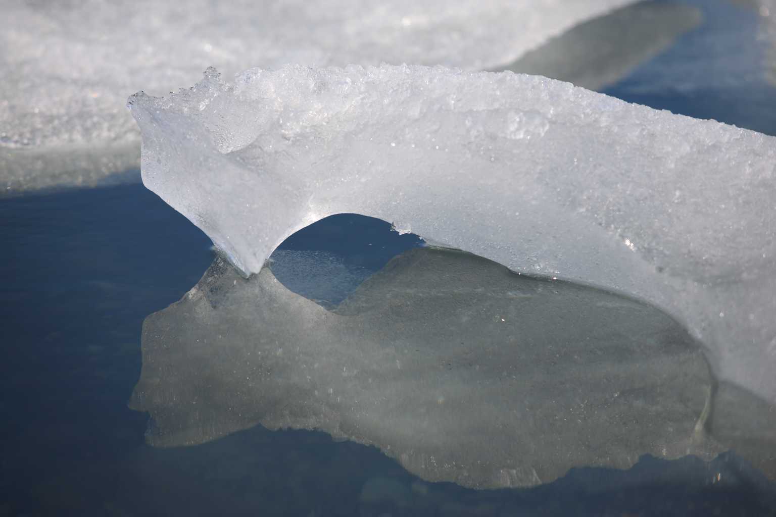 2012ice014