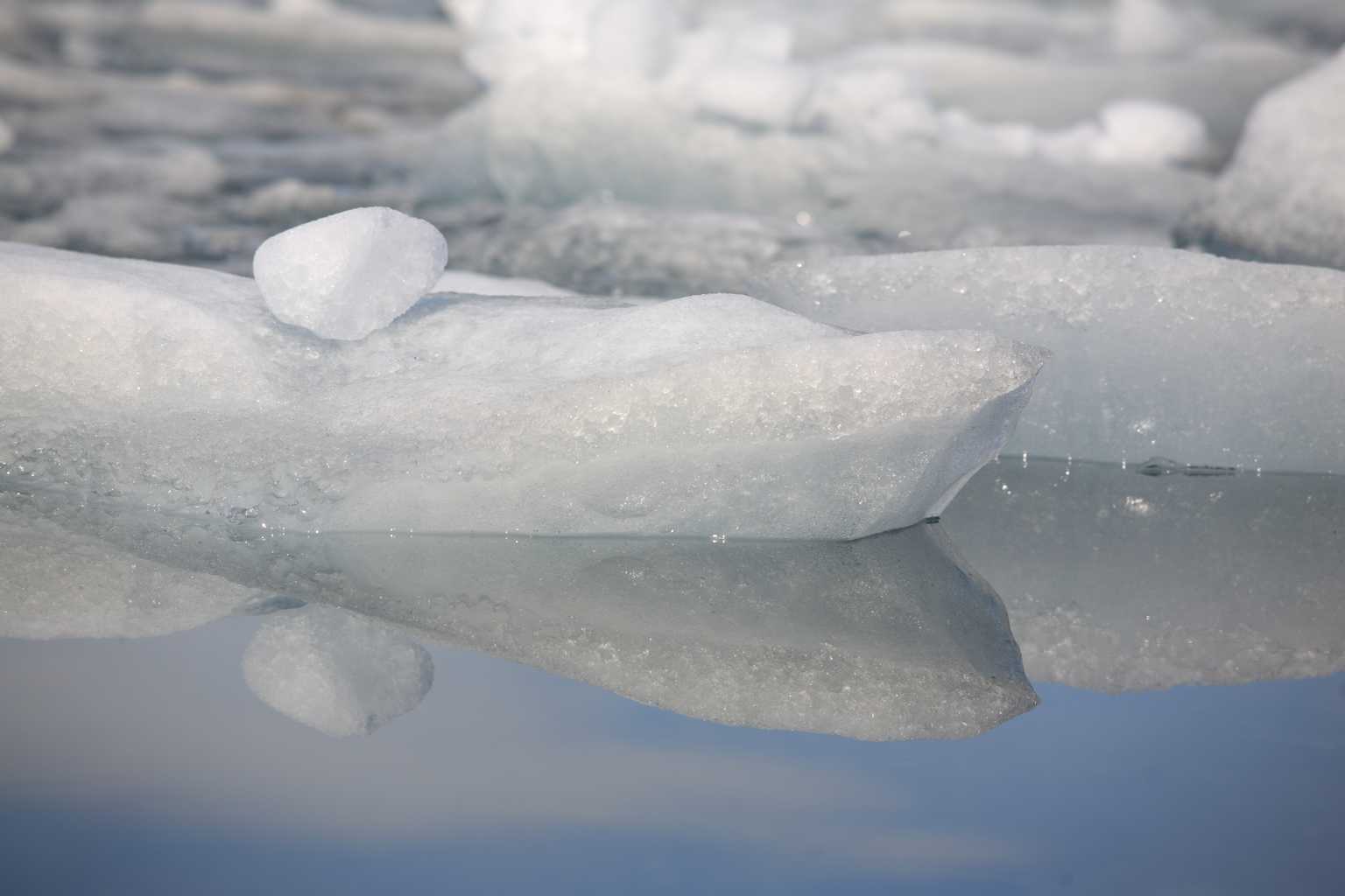 2012ice015