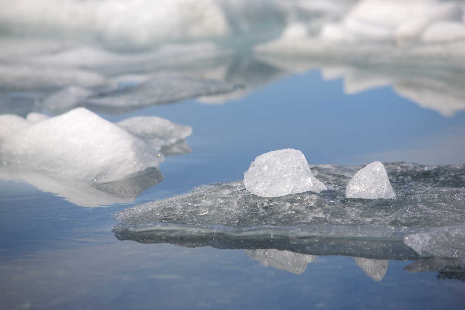 2012ice017