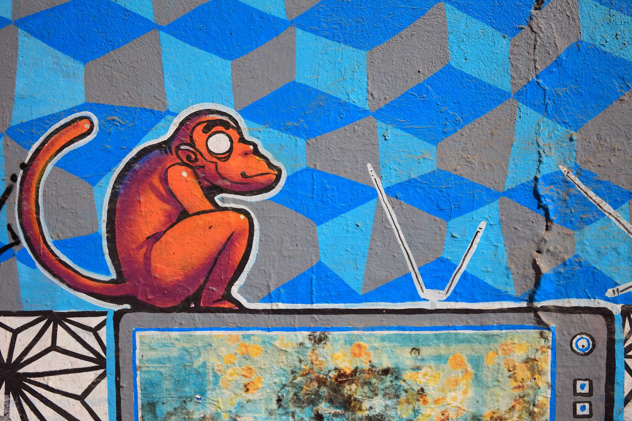2014NP124-MONKEY-TV