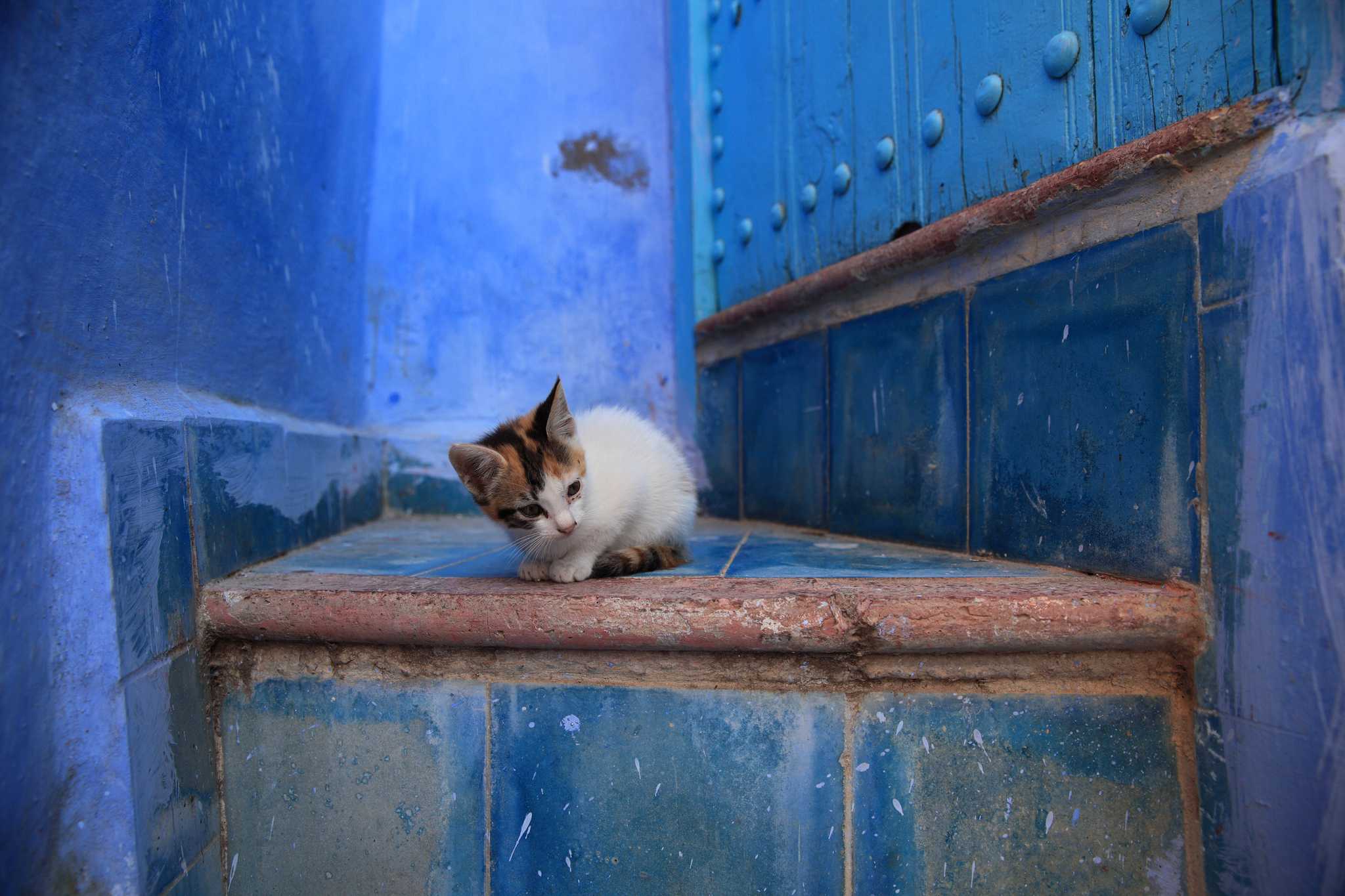 2017CHAOUEN47